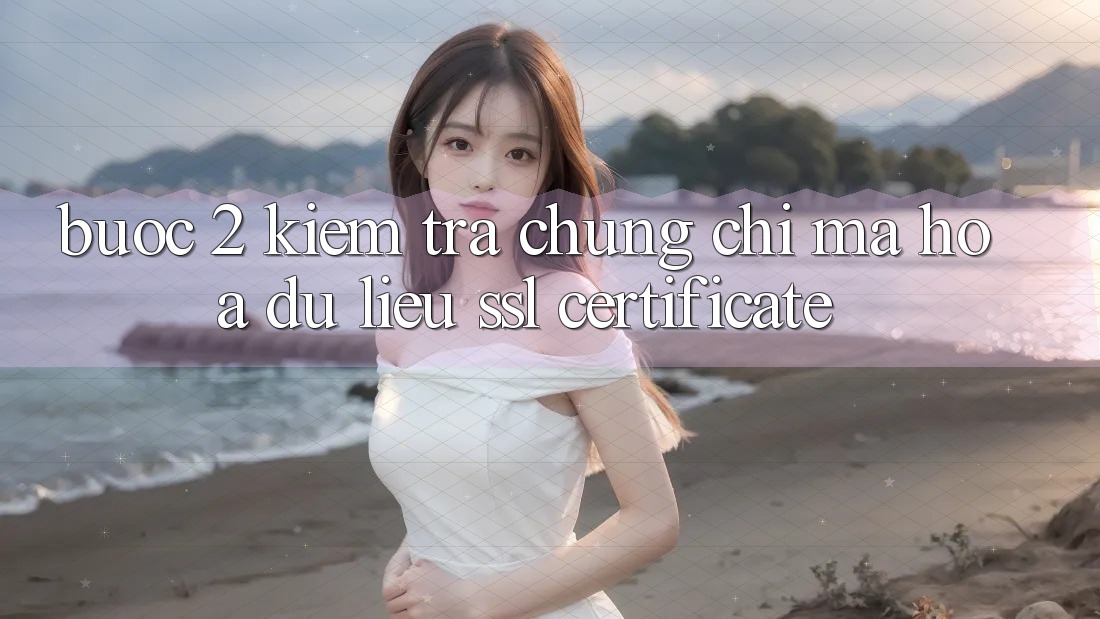 Bước 2: Kiểm tra chứng chỉ mã hóa dữ liệu (SSL Certificate)