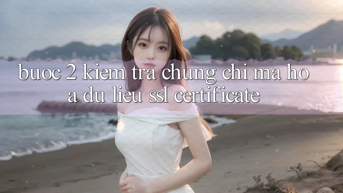 Bước 2: Kiểm tra chứng chỉ mã hóa dữ liệu (SSL Certificate)