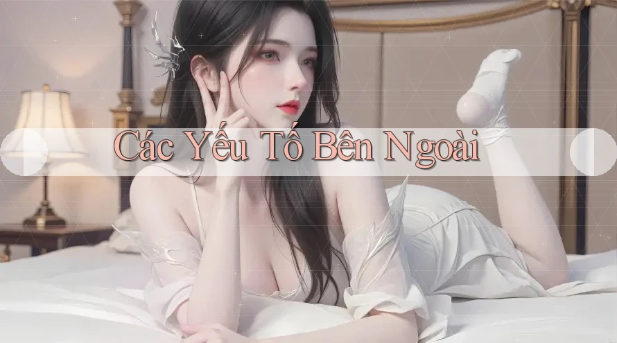 Các Yếu Tố Bên Ngoài