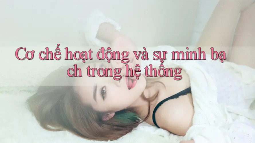 Cơ chế hoạt động và sự minh bạch trong hệ thống Cơ chế hoạt động và sự minh bạch trong hệ thống
