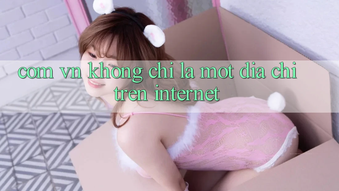 “. com. vn” – Không Chỉ Là Một Địa Chỉ Trên Internet
