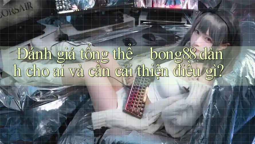 Đánh giá tổng thể – bong88 dành cho ai và cần cải thiện điều gì?