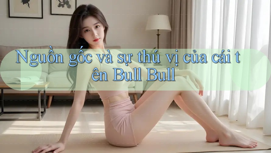 Nguồn gốc và sự thú vị của cái tên Bull Bull
