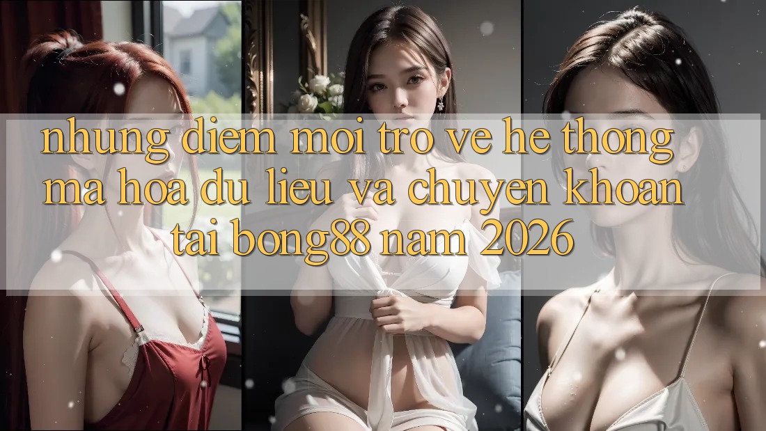 Những Điểm Mới Trở về Hệ Thống Mã hóa dữ liệu Và Chuyển khoản Tại Bong88 Năm 2026