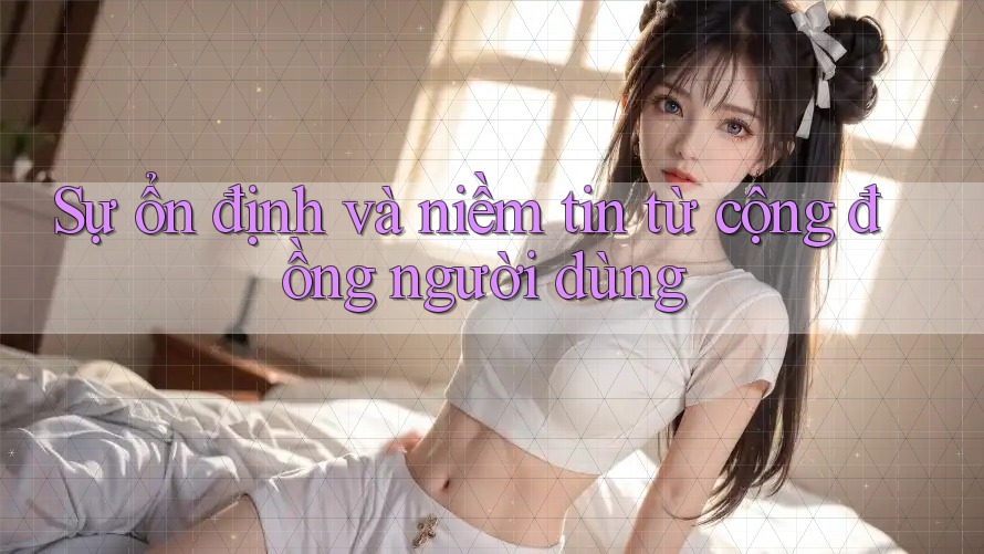 Sự ổn định và niềm tin từ cộng đồng người dùng
